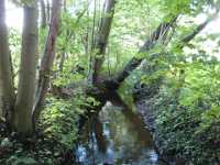 A1160 Strijbeek Hondsdonk Valkenberg 113 217 Meer GPS wandelingen kunt u vinden op  www.gpswalking.nl